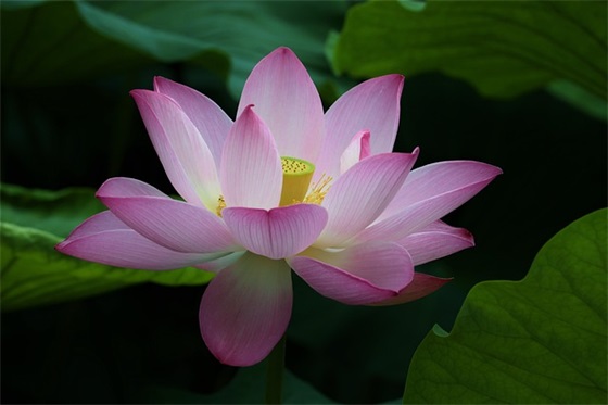 教师对学生的寄语励志一段话-55句 教师对学生的寄语励志一段话-55句