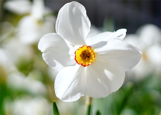 对升初二的儿子的家长寄语-37句