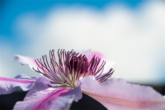 爸爸妈妈的希望寄语中班-34句 爸爸妈妈的希望寄语中班-34句