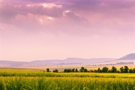 话简单官宣男生 最火公布男朋友的句子