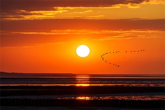 忧伤的句子有哪些