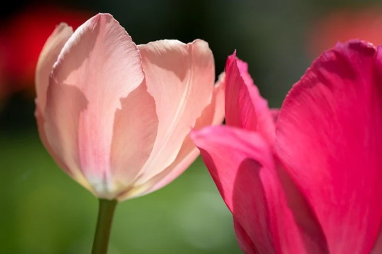 两字带心网名女生
