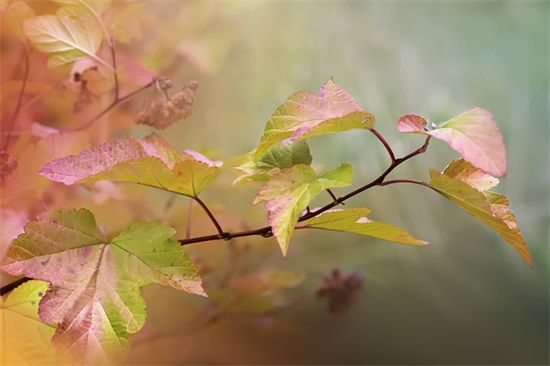 祝福孩子长大的句子 祝福儿童成长的句子有哪些