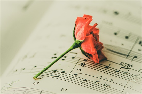 感情受伤的伤感句子 安慰感情受伤的句子