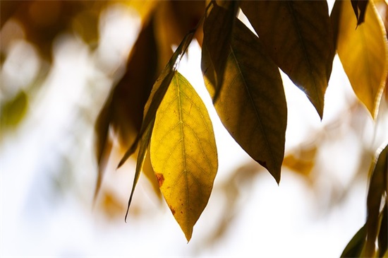 2025年人生苦难励志句子 2025年人生苦难励志句子