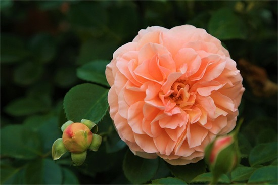 看照片回忆的感慨句子 看照片回忆优美句子 看照片回忆的感慨句子 看照片回忆优美句子