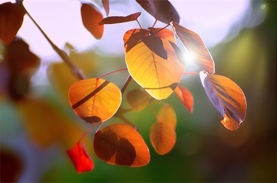 激励向上的句子 激励向上的句子