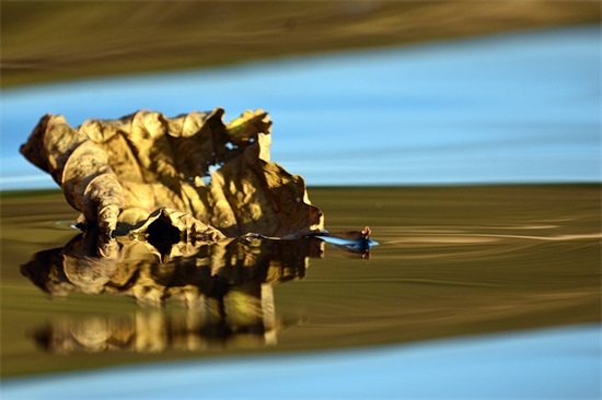 老师卡片寄语-100句