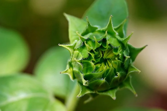 写给小朋友的寄语和希望-100句
