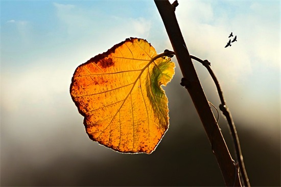 父母对劳动的孩子的寄语 【父母对孩子劳动的评价简短】