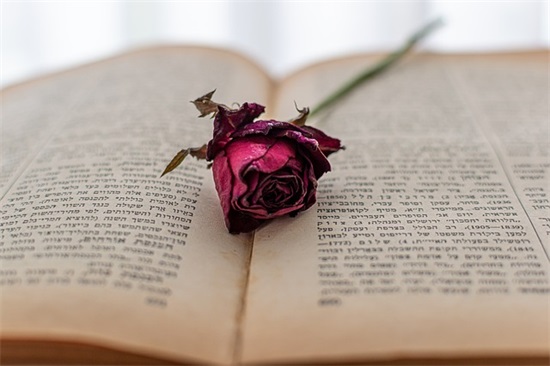 人生悲催的句子精选149句