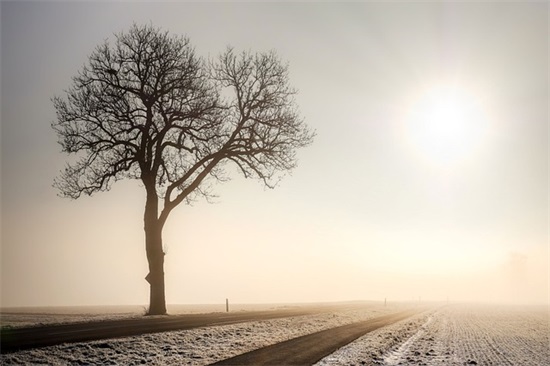 一句话学生寄语-81句