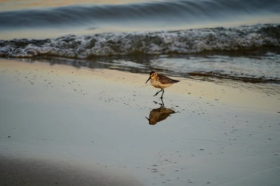 女孩子游戏名字2026（独特的女孩子游戏名字）