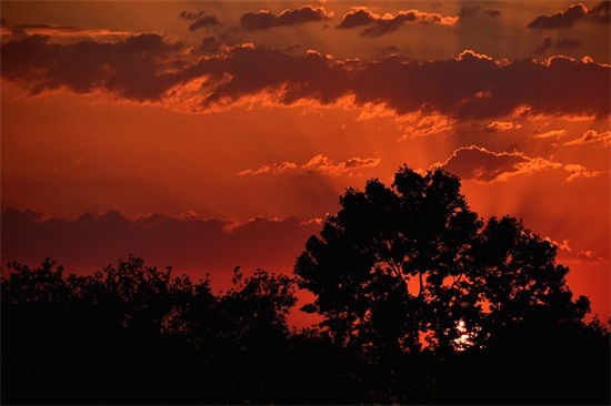 抖音涨粉文案短句子 人生感悟涨粉文案