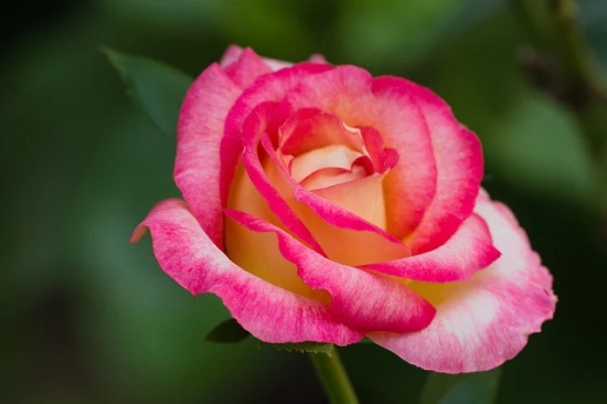 描写下雨天忧伤的句子素材