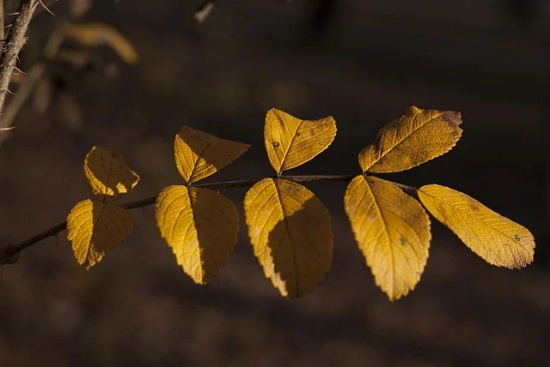 如何清洗洗衣机