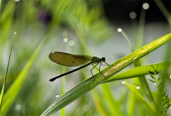 霸气幽默的高考口号86句