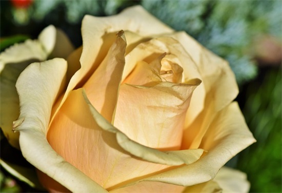 公司企业文化标语2025年76句