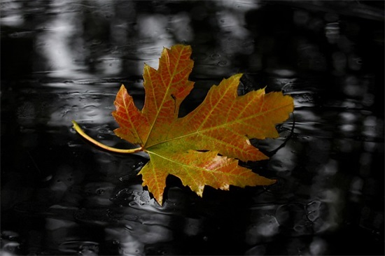 霸气有诗意的口号82句