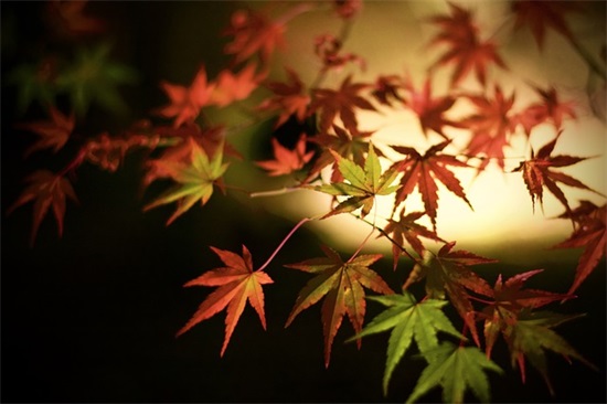 简短有气势的班级口号82句