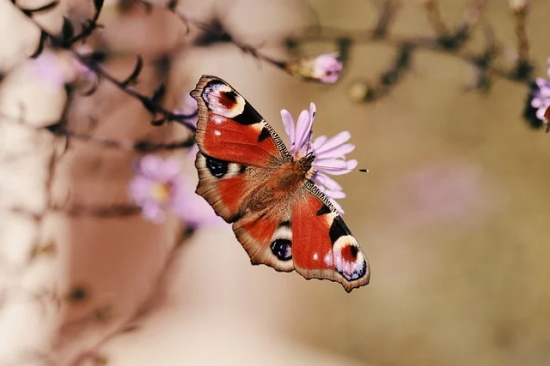 班级活动的口号霸气押韵86句