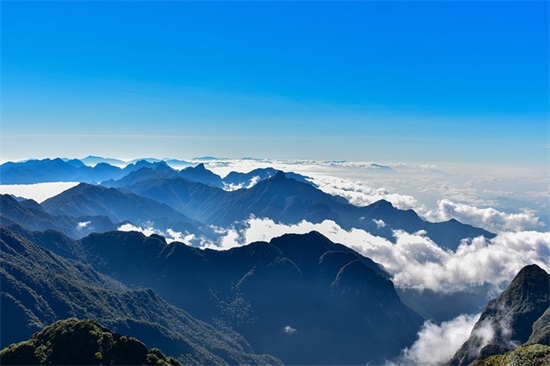 初中体育运动会代表队口号87句