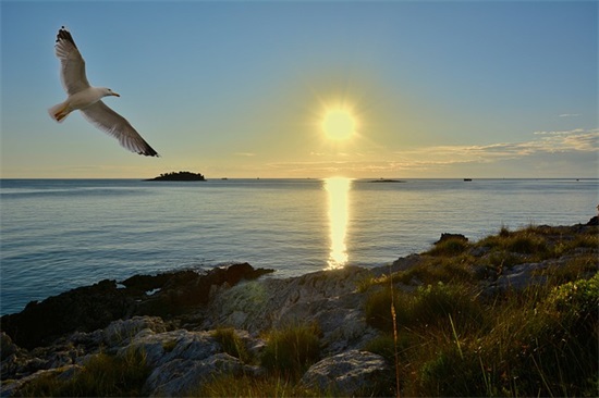 健身房口号大全86句