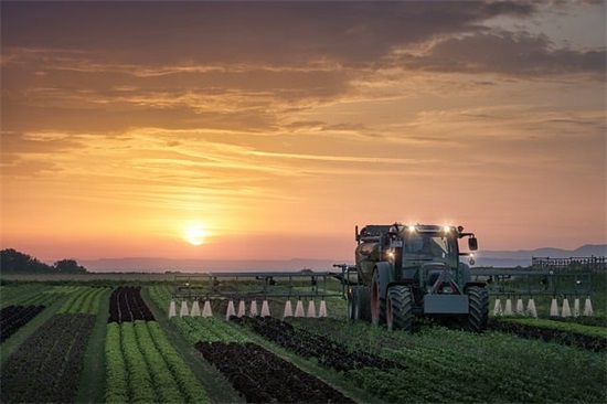 茶楼广告标语90句