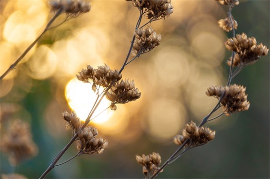 2025年双十一促销活动销售口号大全精选大全