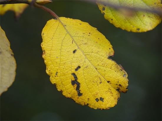 陶瓷店面广告标语100句