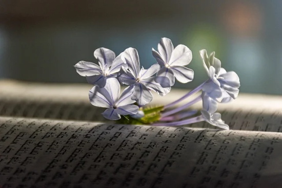 元宵节经典的祝福语