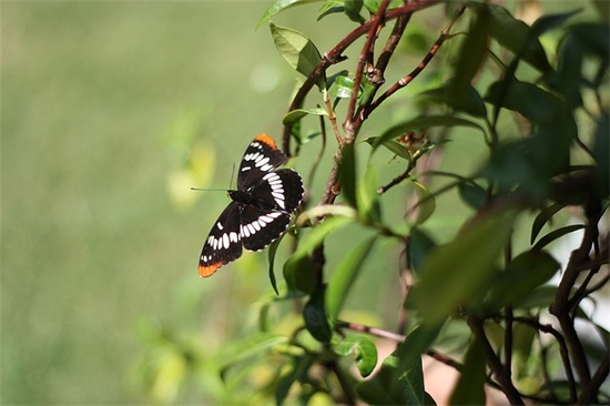 立冬祝福语简短精悍