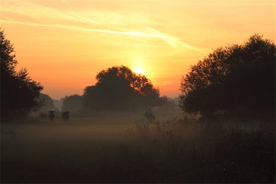 祝福语毕业96句