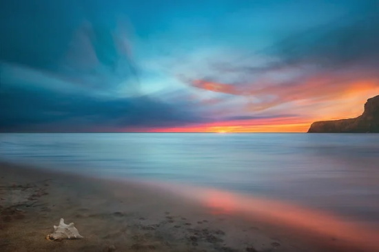 新年展望寄语一句话-56句