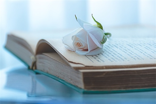 班主任给大学毕业生的寄语-52句