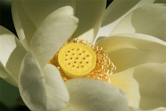 高考前的寄语-60句