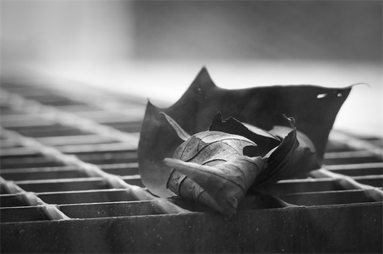 给自己生日寄语-54句