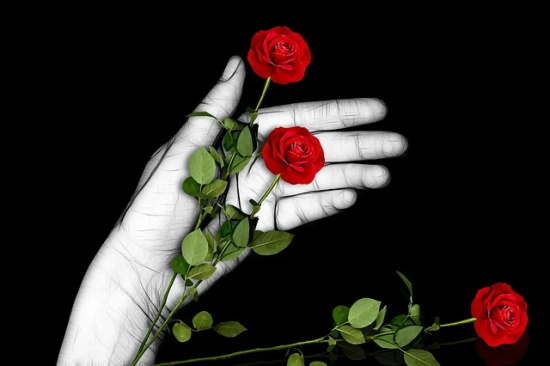 女儿生日简短祝福寄语-50句