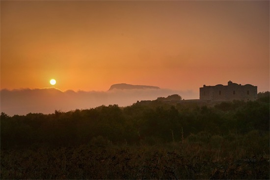 劳动节员工祝福短信81句