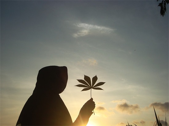 七夕情人节幽默搞笑短信80句