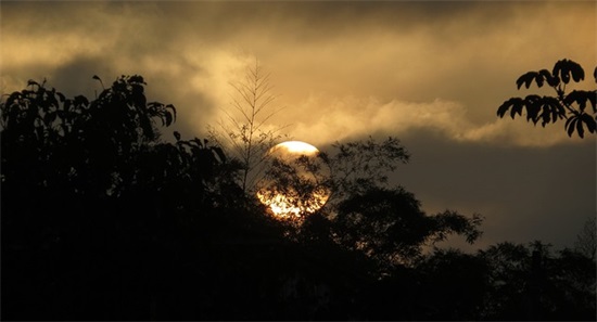 过年搞笑短信95句