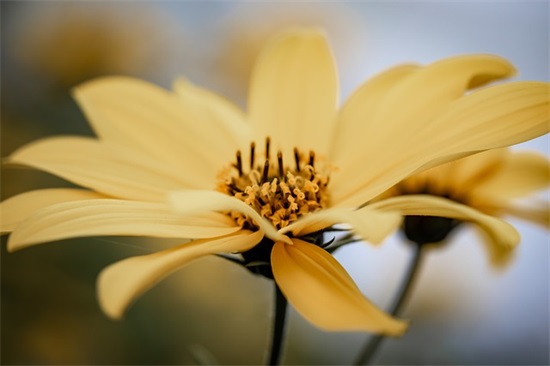 手机短信伤感92句