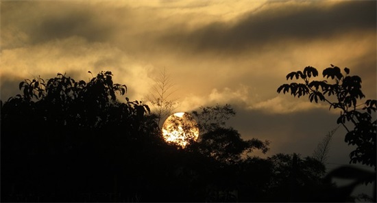 感谢客户的短信83句