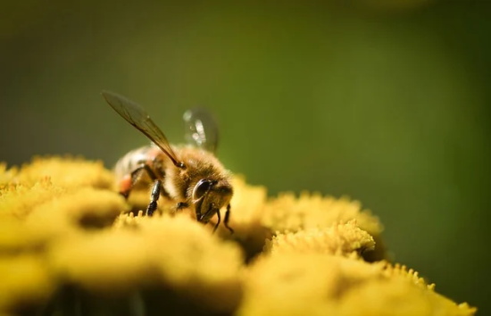 一家人旅行温馨的句子-57句