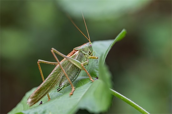 发女朋友照片的朋友圈句子精选76句