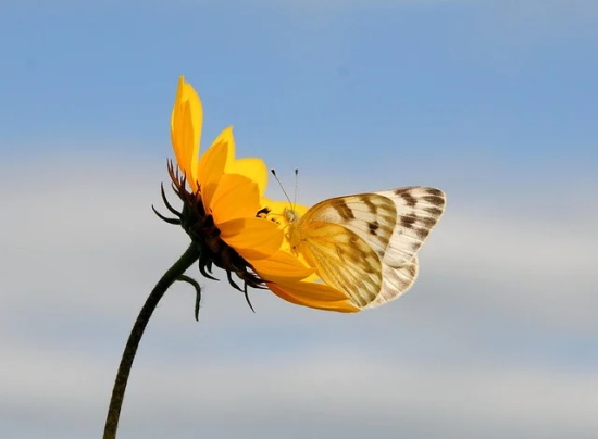 宝宝相册祝福语大全80句