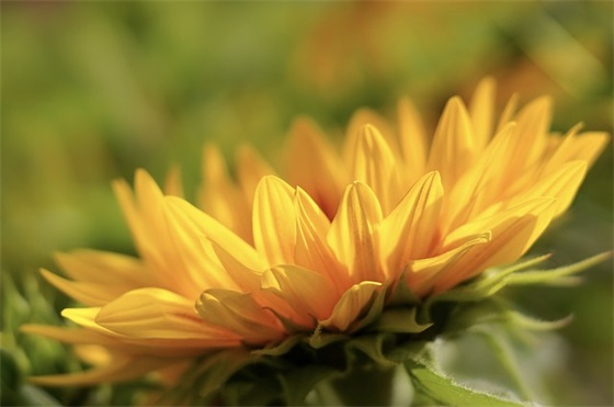 添丁的祝福语37句