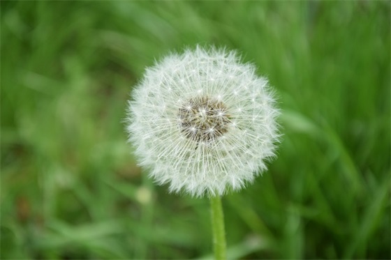 除夕夜祝福语字 除夕夜祝福语字