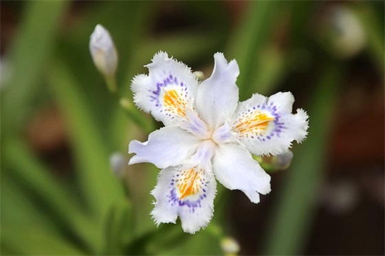 个性英文字情侣网名