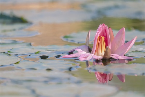 内衣店铺起名468个，内衣店名字怎么起好听又好记
